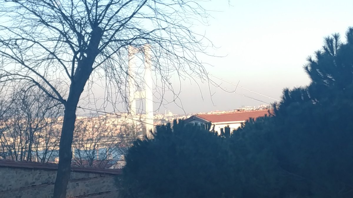 İstanbul'dayım görüşelim mi kızlar hazzı iliklerinize kadar hissettirelim ❤️

#cuckold #tekkadın #evlicift #üniversiteli #swinger #istanbul #seks #CuckoldKocaAdayı