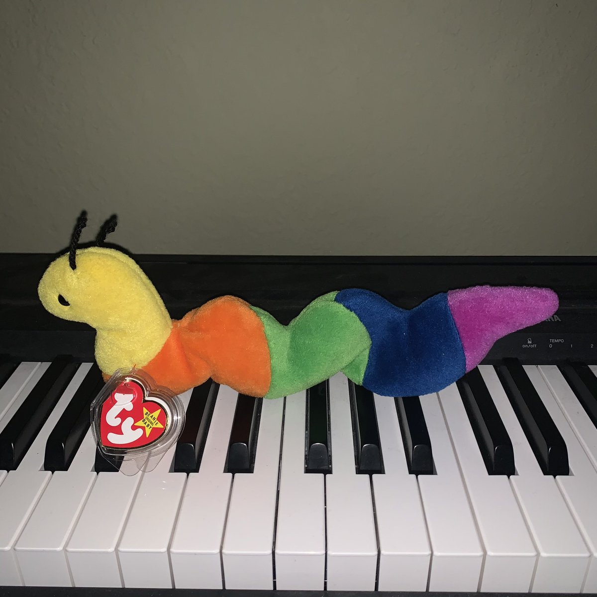 inch_the_worm's tweet photo. https://t.co/BCm4Uzkyx3