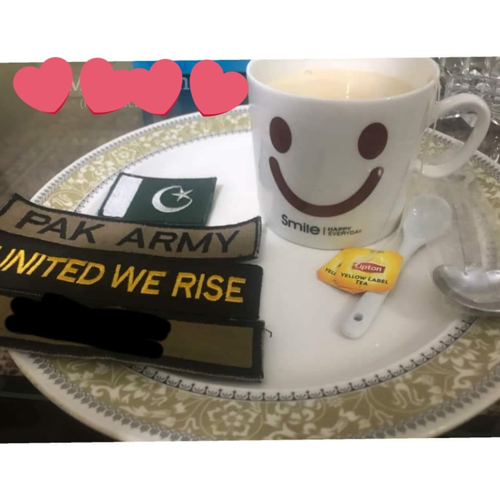 Pak_Army_Great_'s tweet photo. #NewProfilePic https://t.co/2xrPpB03vX