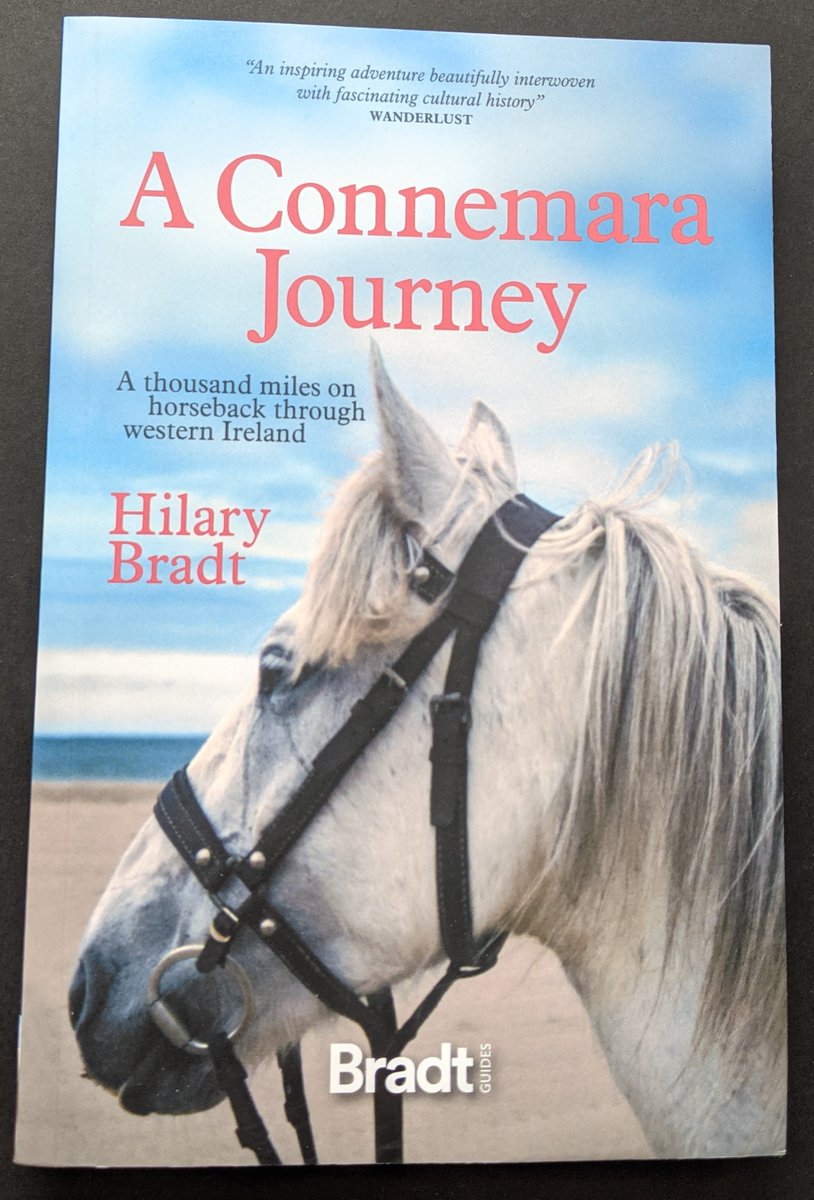 Happy memories of two exceptional ponies in my new book. 
hilarybradt.com/category/blog/
