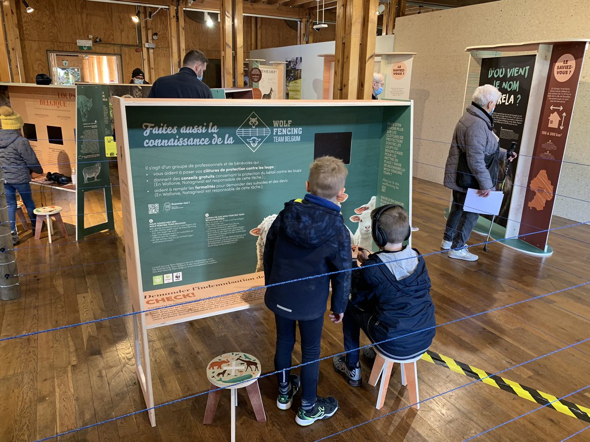 LeJournalduK's tweet photo. Le #loup 🐺 est de retour sur le toit de la Belgique 🇧🇪 à #Botrange 🥾
🐼 #expo en partenariat avec @WWF_Belgique
🤭 Pour revoir pas mal d’idées reçues
🎫 GRATUIT
🔚 Jusqu’en mars 2022
ℹ️ https://t.co/3Maof3M9e5
#VisitWallonia #PROVINCEDELIEGETOURISME https://t.co/qqDWEAQ8io