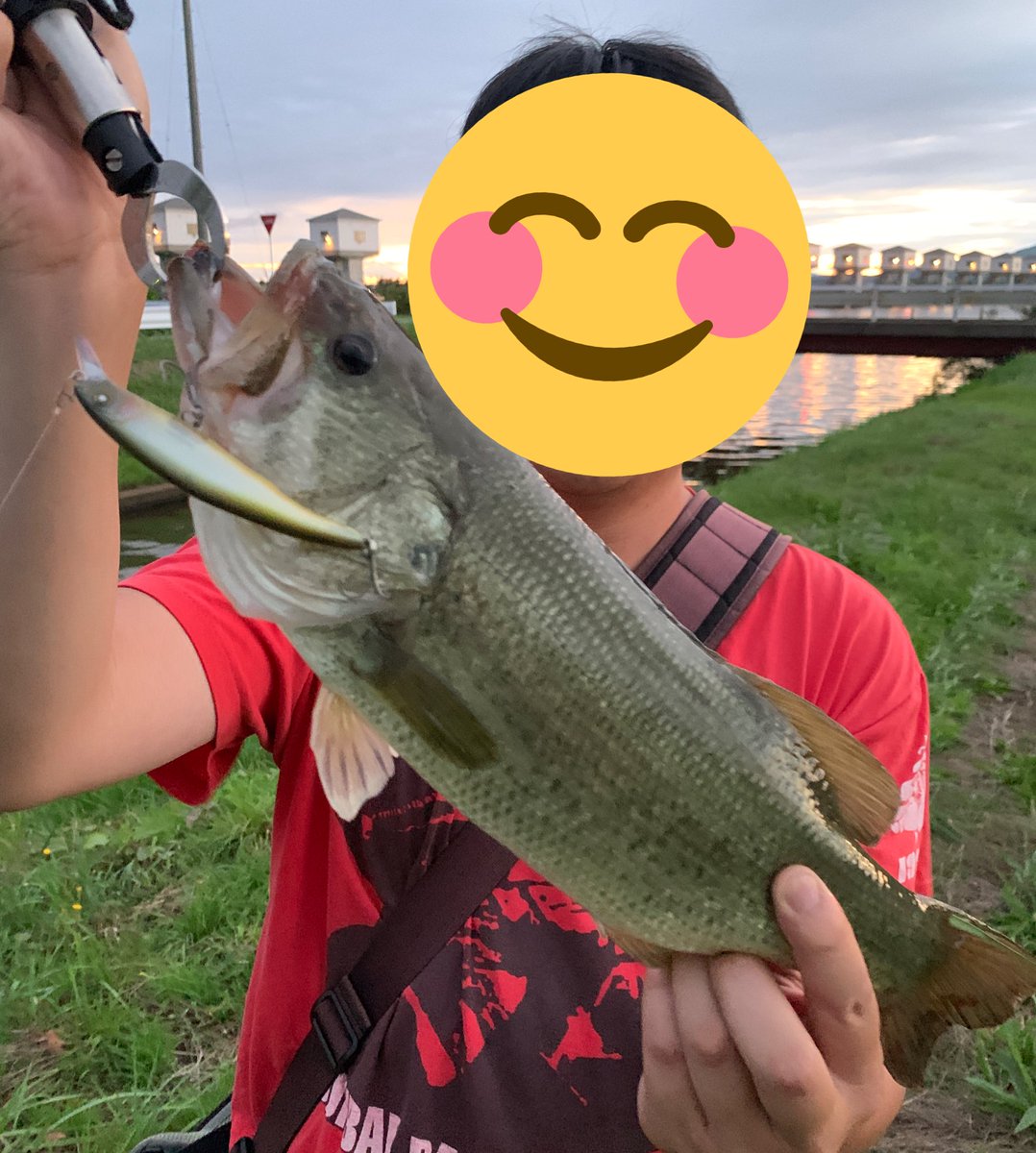 suimenyaro's tweet photo. 去年はピンチの時にエリー95SDに結構助けてもらってたので115SDもきっと活躍してくれるハズ!!
o(`･ω´･+o)
#八郎潟 #エリー #95SD #115SD
#ニシネルアーワークス https://t.co/srltiF2m56