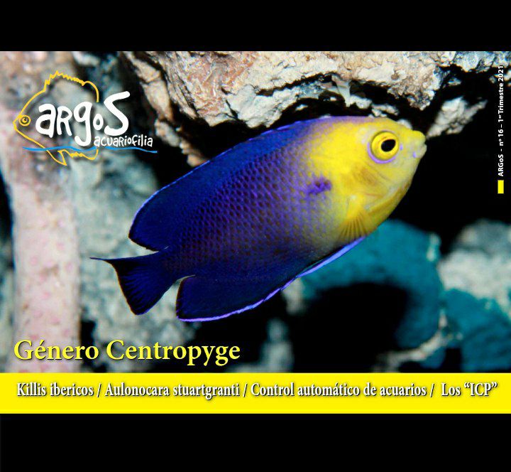 AquaticNotes's tweet image. ¡El número 16 de la revista ArGoS ya está disponible en la web de Aquaticnotes!
aquaticnotes.com/2016/es/2021/0…