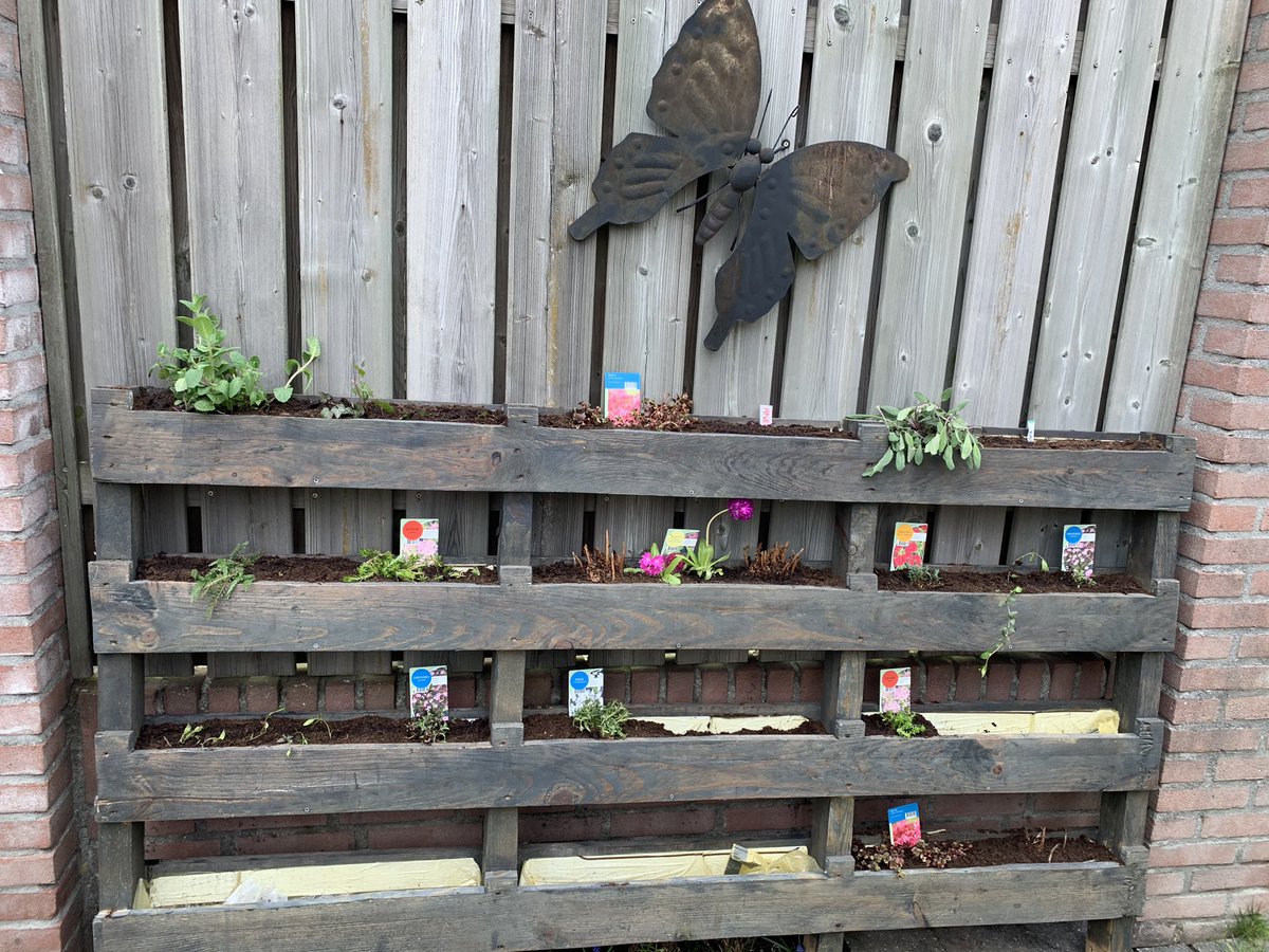 ieengeee's tweet photo. Het begin is gemaakt. #verticaletuin https://t.co/0OZ60W36LH
