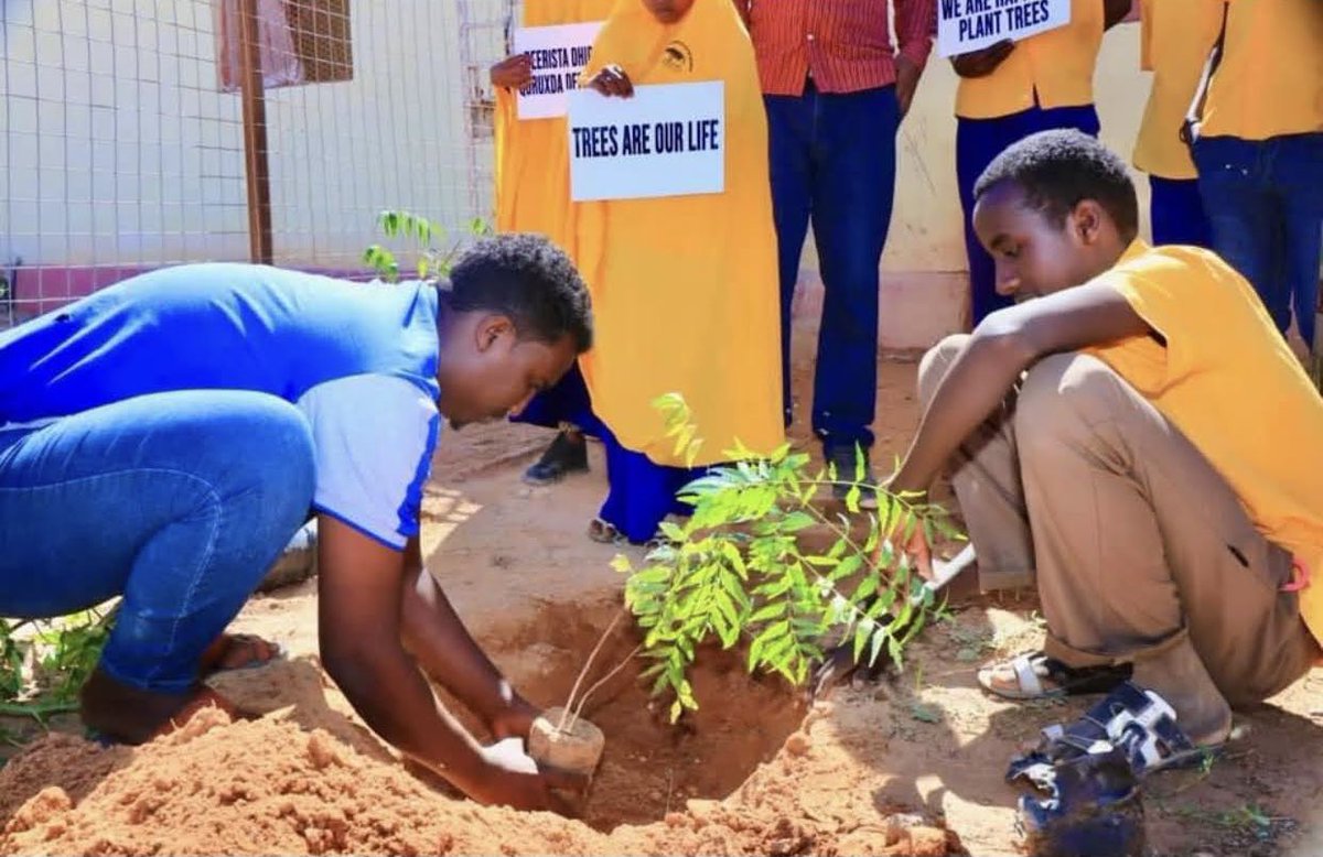 One of the most important factors influencing human life is the appearance of the environment in which humans live depends on.

#YouthForEnvironment
hanadKeey.