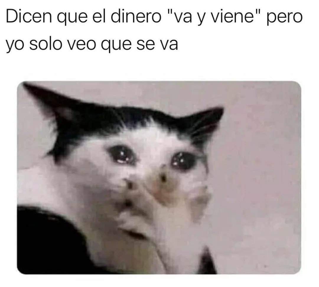 caarlosanchez's tweet photo. Mi vida en una foto https://t.co/F9iDrt54I1