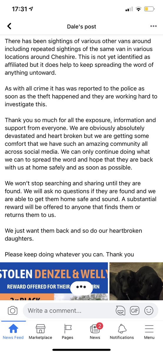 ⚠️STOLEN DOGS⚠️

2 X BLACK Lab / Retrievers

🐕‍🦺DENZEL &amp; WELLY🐕‍🦺

🔥Make them too hot to handle 🔥