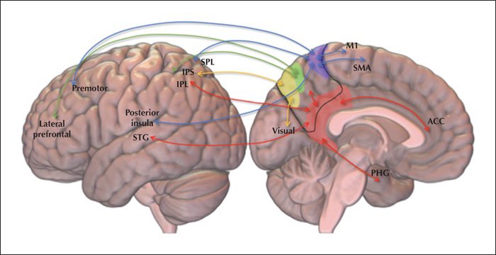 Excited to share our article published in Epileptic disorders!! 
The precuneal cortex: anatomy and seizure semiology

: jle.com/en/revues/epd/…

<a href="/nigel_pedersen/">Nigel Pedersen</a> <a href="/EmoryNeurology/">Emory Neurology Residency</a> <a href="/EmoryBrain/">EmoryBrainHealth</a> <a href="/NeuroMonteEinst/">Montefiore-Einstein Neurology</a> <a href="/EpiDisorders/">Epileptic Disorders</a> <a href="/IlaeWeb/">International League Against Epilepsy</a> <a href="/KathrynElkins9/">Kathryn Elkins</a>