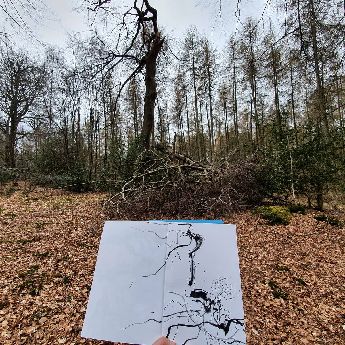 SurreyPuma's tweet photo. #drawing #sketch #pens #penandink #landscape #surrey #surreyhills #ranmorecommon #nationaltrust https://t.co/g44eU9Ecki