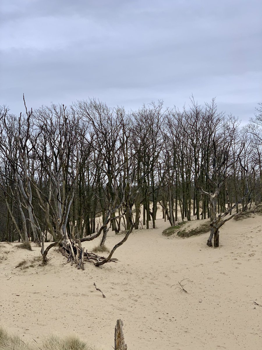 eprev's tweet image. 