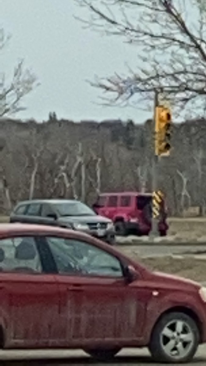KTtheCanadian tweet picture