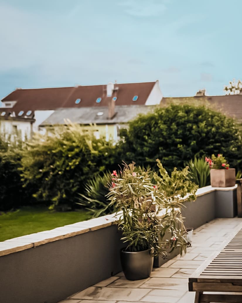 ADLER BAU tweet media