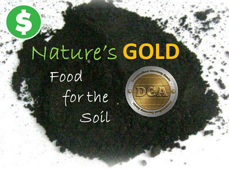 ANSEMLabs's tweet photo. "The easiest thing to judge if a project has value, at least we want to see if you have a product. To have a large number of users, you got to have a product. If you don't even have a product, and we look at the time span" @cz_binance
#NaturesGOLD #HybridOrganic #XDCA #BSC https://t.co/EVeVCbEOvU
