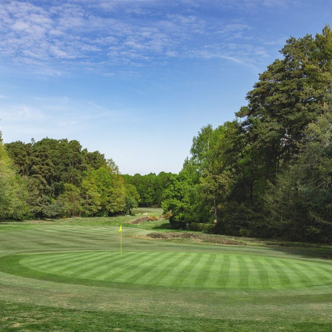 GOLF 💚⁠
•⁠
cc: @sunningdaleheathgc
•⁠
Don't forget to tag us in your golf course pictures for a chance to be featured⁠
•⁠
#trendygolf #golf #golfcourse #whywelovethisgame