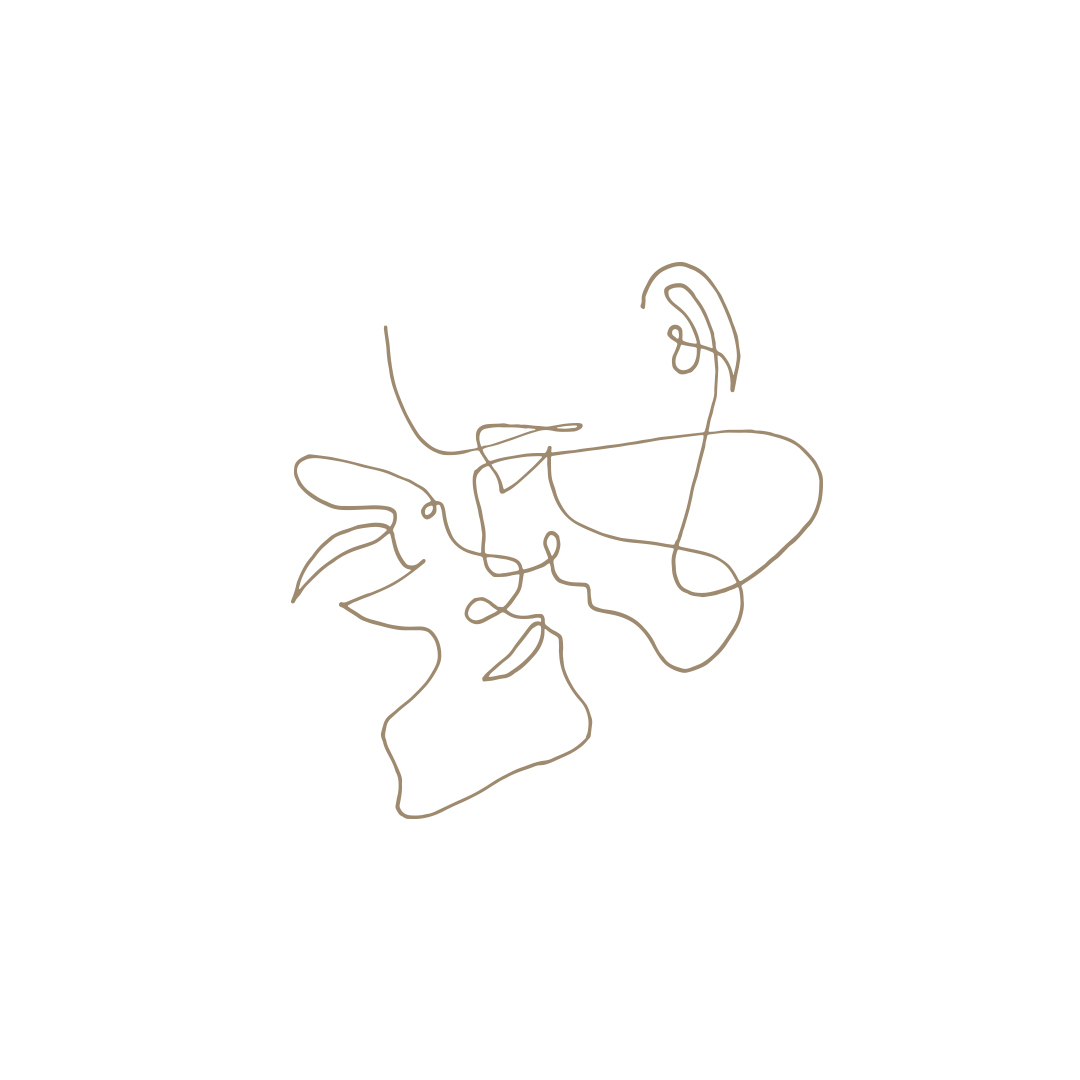 Le Line Art ou "dessin au trait" est une image constituée de lignes droites ou courbes distinctes placées sur un arrière-plan (généralement uni), sans gradations d'ombres ou de teinte (couleur) pour représenter des objets bi-dimensionnels ou tri-dimensionnels. Le dessin au