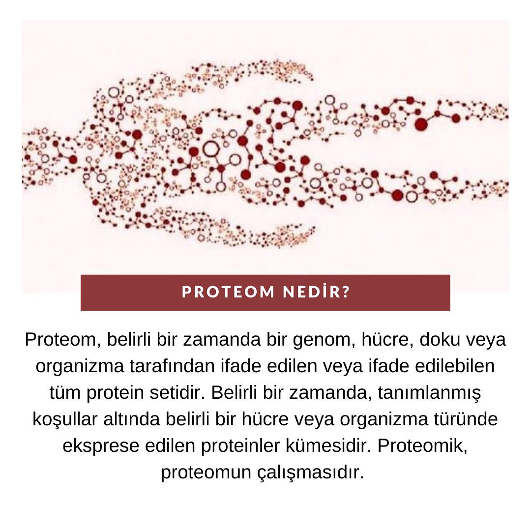 BilimOzu's tweet photo. Proteom Nedir?
#bilim #bilgi #proteom #biyoloji https://t.co/9e2Pv5HHtB