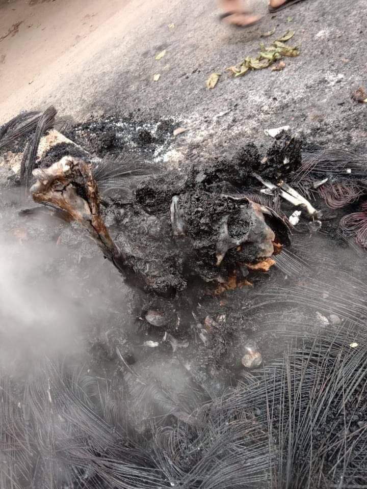 AliceThaing's tweet photo. Tw // Burned Death Body (only bone)🚨

The Father of four children was shot in the leg, thrown into fire, and left to be burnt alive by Military junta terrorists last night. Happened last night in Mandalay. 

JUNTA MASSACRE
#Mar28Coup
#WhatsHappeningInMyanmar https://t.co/Xdfw3ijCz5