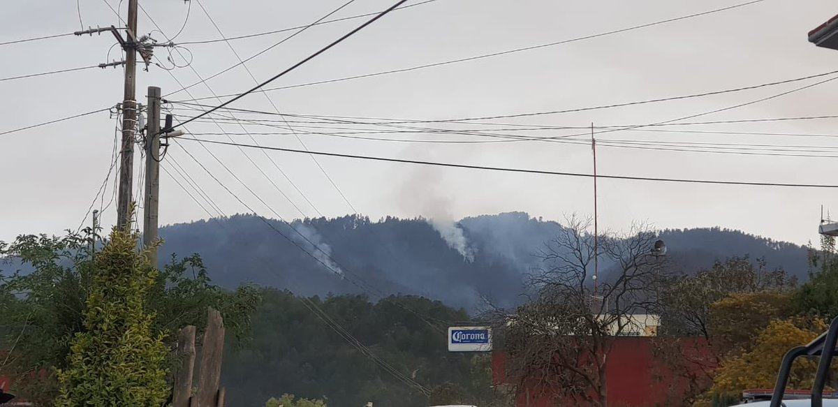 AmbienteGobPue's tweet photo. #Actualización| Sobre el #IncendioForestal🔥 en Ocotepec - Ixtacamaxtitlán:
✅ Un total de 125 elementos @AmbienteGobPue, @CONAFOR, @SEDENAmx, @PC_Estatal, @SSPGobPue y autoridades municipales.
✅ Desplegados con cinco divisiones de incendio y con un total de 20  vehículos. https://t.co/WMDUUWaVNQ