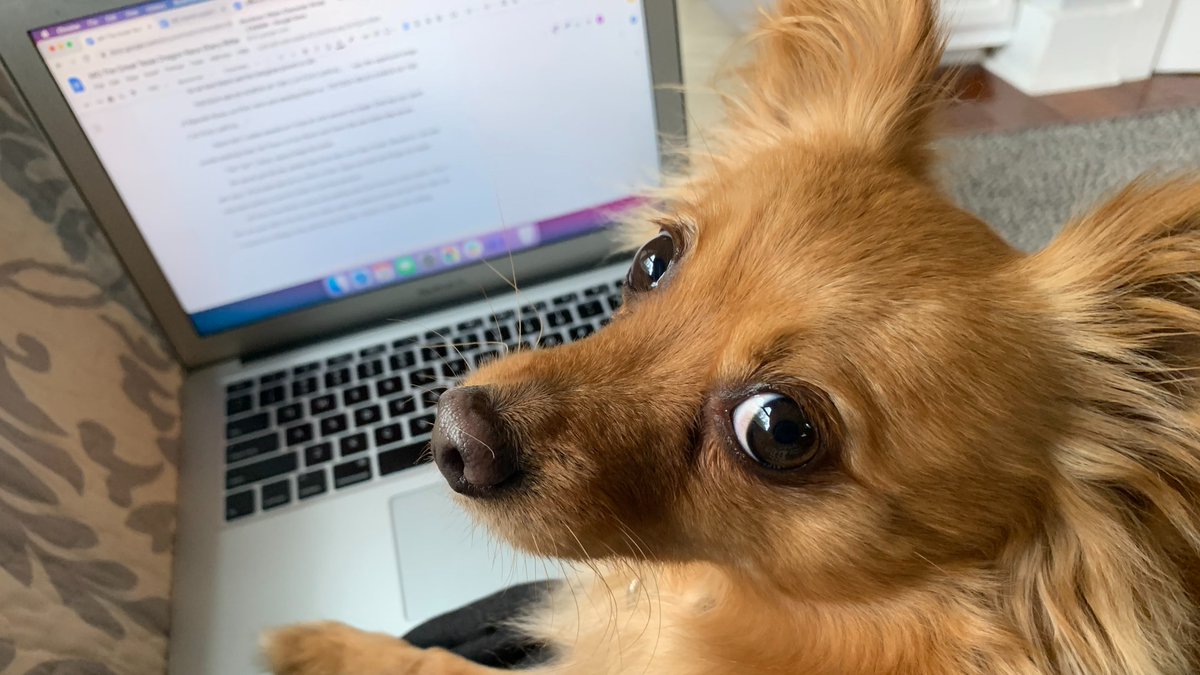 Kacy Ritter (@KC_Ritter) | Twitter