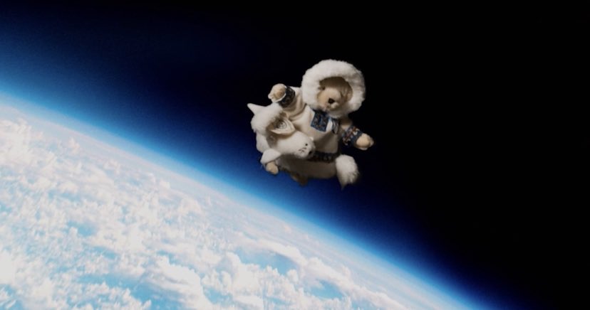 InJoyEntertains's tweet photo. Muffy Vanderbear is ready for #blastoff to join @yousuckMZ as part of the #dearMoonCrew for @dearmoonproject the 1st civilian trip to the Moon! Watch her space visions on Instagram at https://t.co/ZAJd41QD7U https://t.co/fORmrzFw3a