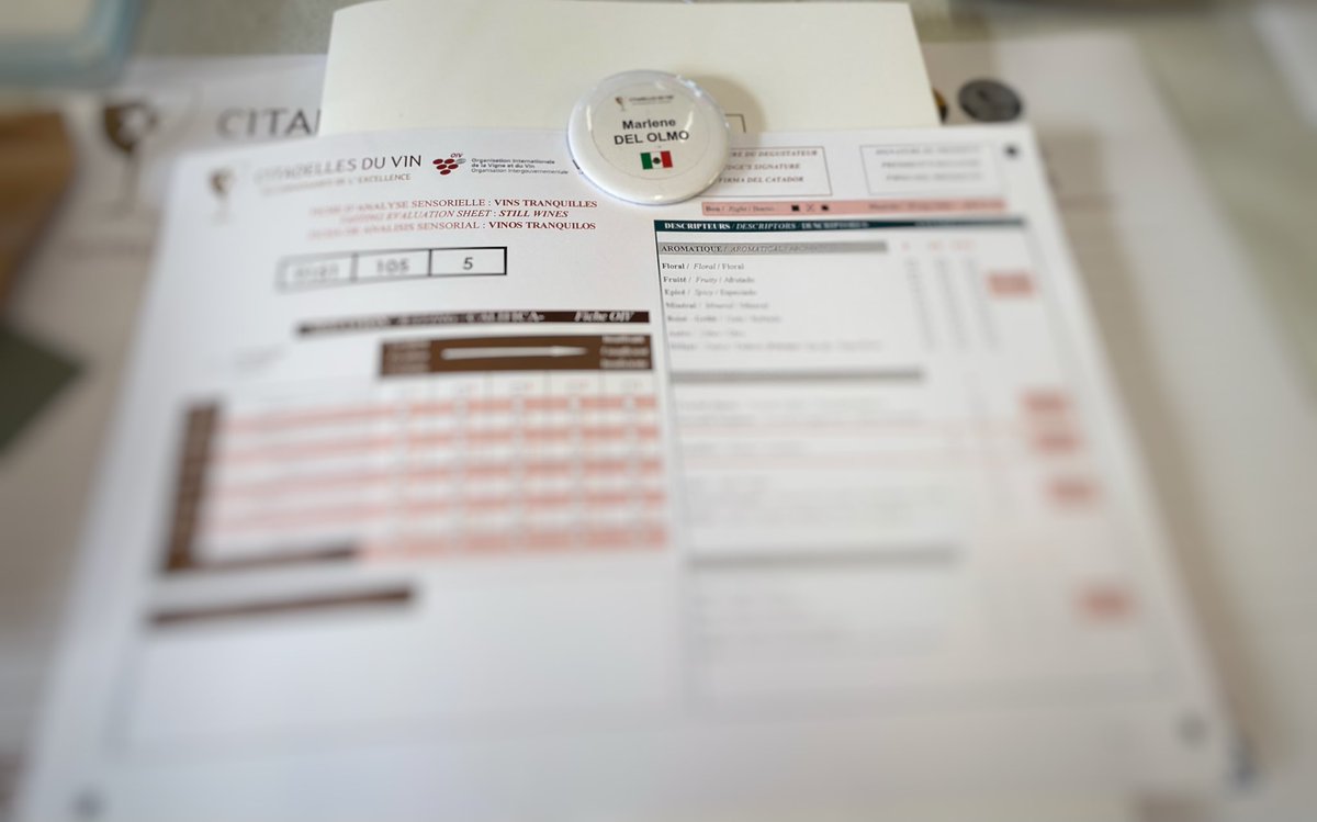 Marlene del Olmo ૐ tweet media