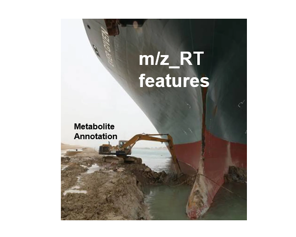 Time for a #metabolomics take on #suezmemes