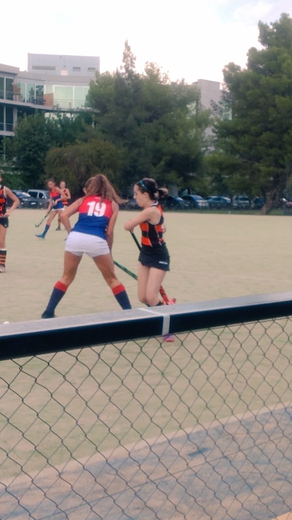 <a href="/OlivosRC/">Olivos Rugby Club</a> 6ta C ganó! Así!