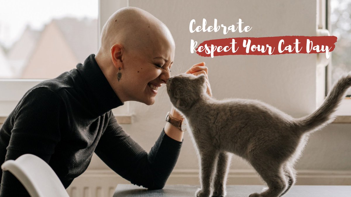 Did you know that today is Respect Your Cat Day? Your feline friend has been there for you, so celebrate them with extra love and respect! Here are four ways to build a stronger bond with your kitty: bit.ly/SurreyCatsNews

#cats #surreycatsbc #respectyourcatday #catlovers