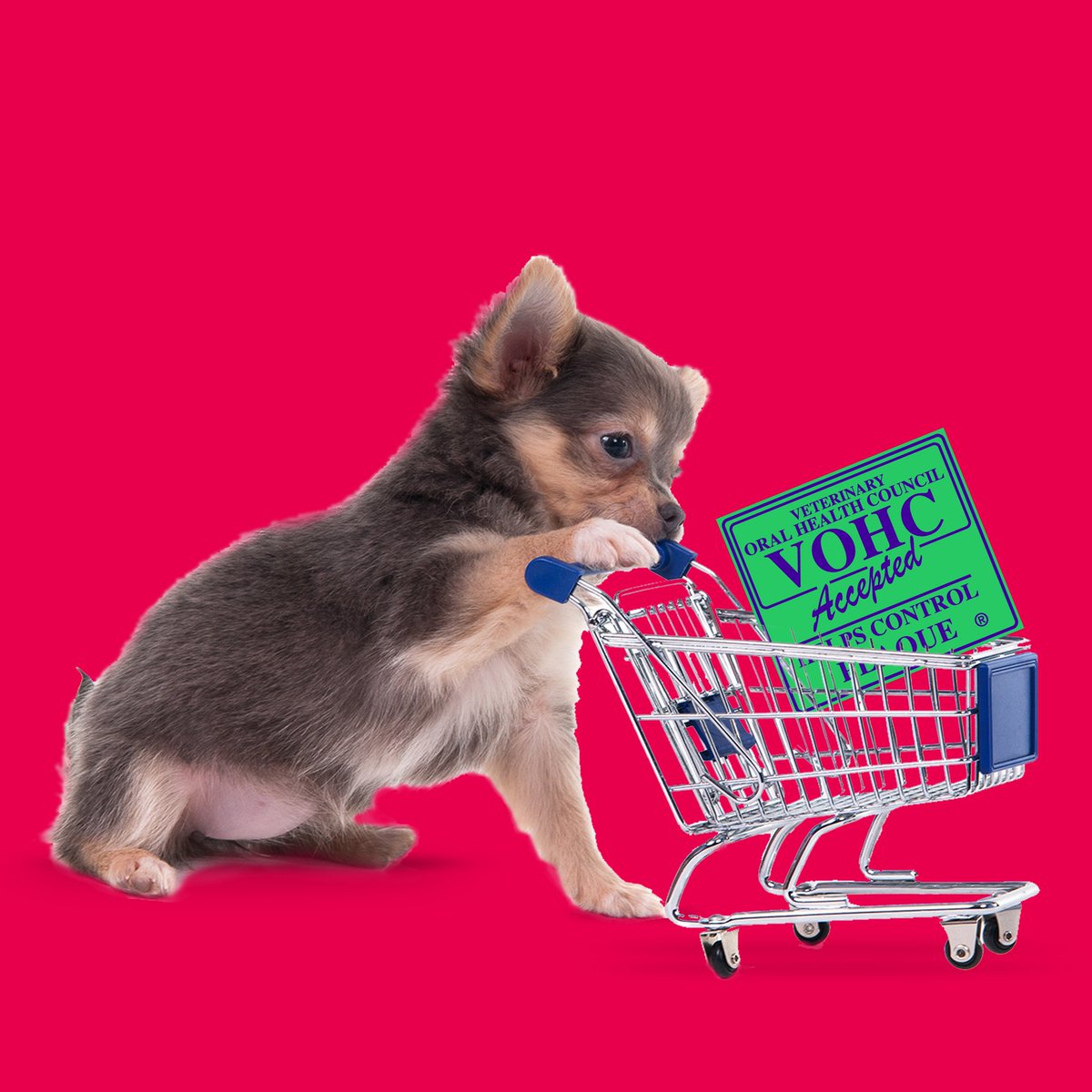 PetsmileUSA's tweet photo. Before shopping for new items for your pet, make sure you're doing your research. Your veterinarian is always a great person to consult for the safest food, toys, and pet products on the market. Coincidentally, Petsmile is approved by the Veterinary Oral Health Council https://t.co/XshmaGBrQB