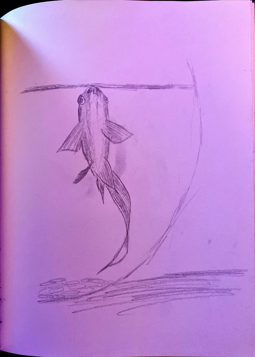 WhyNotTonyy's tweet photo. This past month I have been trying to improve my drawing skills and it's turning out pretty well. https://t.co/zVRPoonx8k