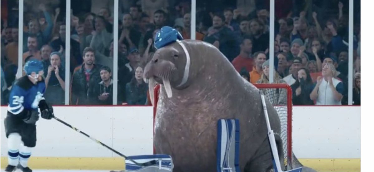 Leopluridan's tweet photo. Samsonov seems to be channeling his inner walrus in net so far.... toss that boy a few raw fish! #ALLCAPS #CapsRags #CapitalsTalk https://t.co/DriX068bhp