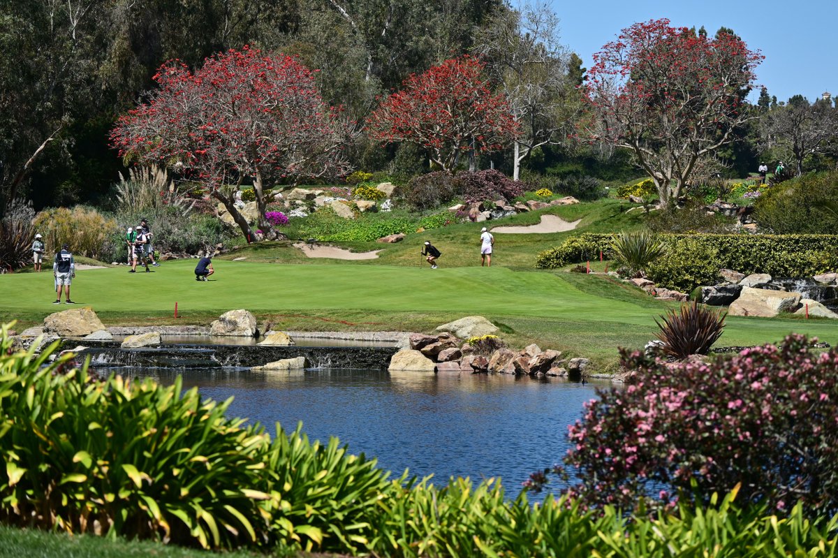 LPGA's tweet photo. Aviara Golf Club is 😍 

@LPGAKiaClassic https://t.co/Emn8mrxM5I