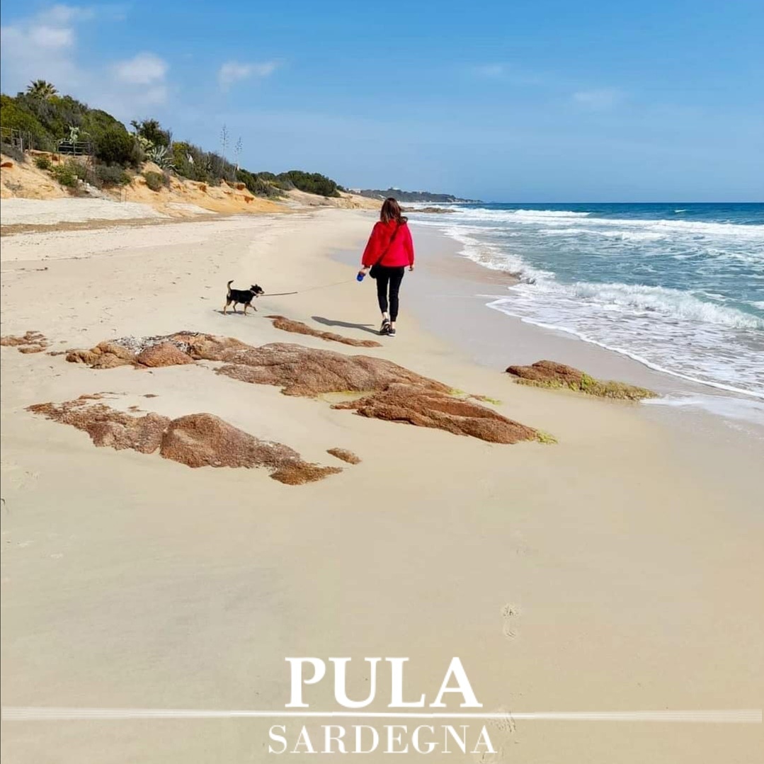 pula_it's tweet photo. Le nostre passeggiate rigeneranti, ci liberano la mente e ci danno l'energia per affrontare un altra settimana in #ZonaArancione 
#CalaMarina #SantaMargherita

#Pula #DestinazioneSardegna

#VisitPula #Sardinia #Discovering #VisitSouthSardinia #Vacanze #Сардиния #море https://t.co/Y2gpblY0D3