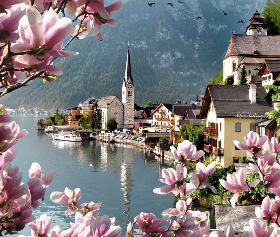 LTVOfficial_'s tweet photo. Hallstatt is a village on Lake Hallstatt's western shore in Austria's mountainous Salzkammergut region. Its 16th-century Alpine houses and alleyways are home to cafes and shops.

📸 @stefan_hillinger https://t.co/iMqeijVDpc