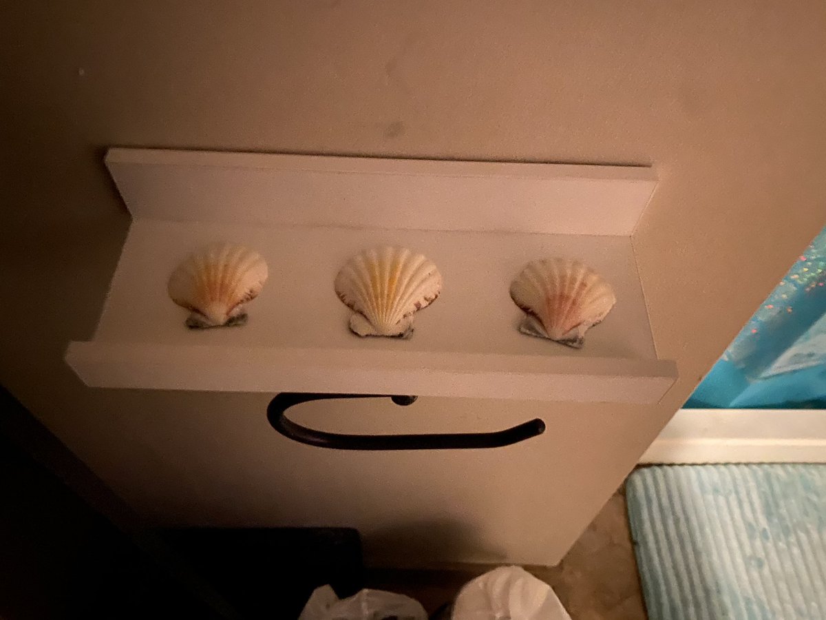 NylaRoseBeast's tweet photo. Home improvement project completed!
Now I never need to buy toilet paper ever again ๐
#3seashells #demolitionman https://t.co/92uiQL3EFr