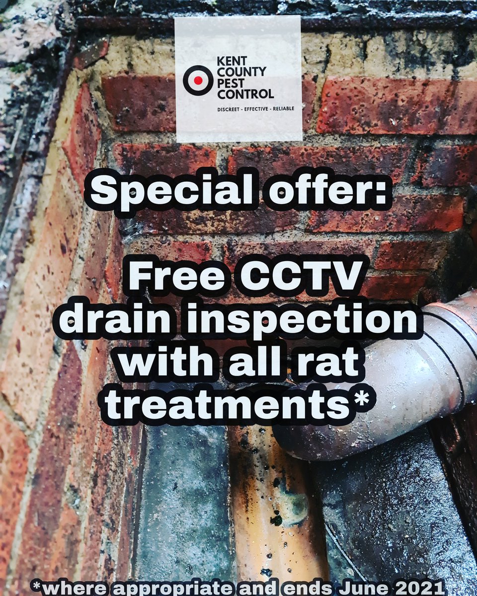 Kent County Pest Control (KC_Pest_Control) Twitter