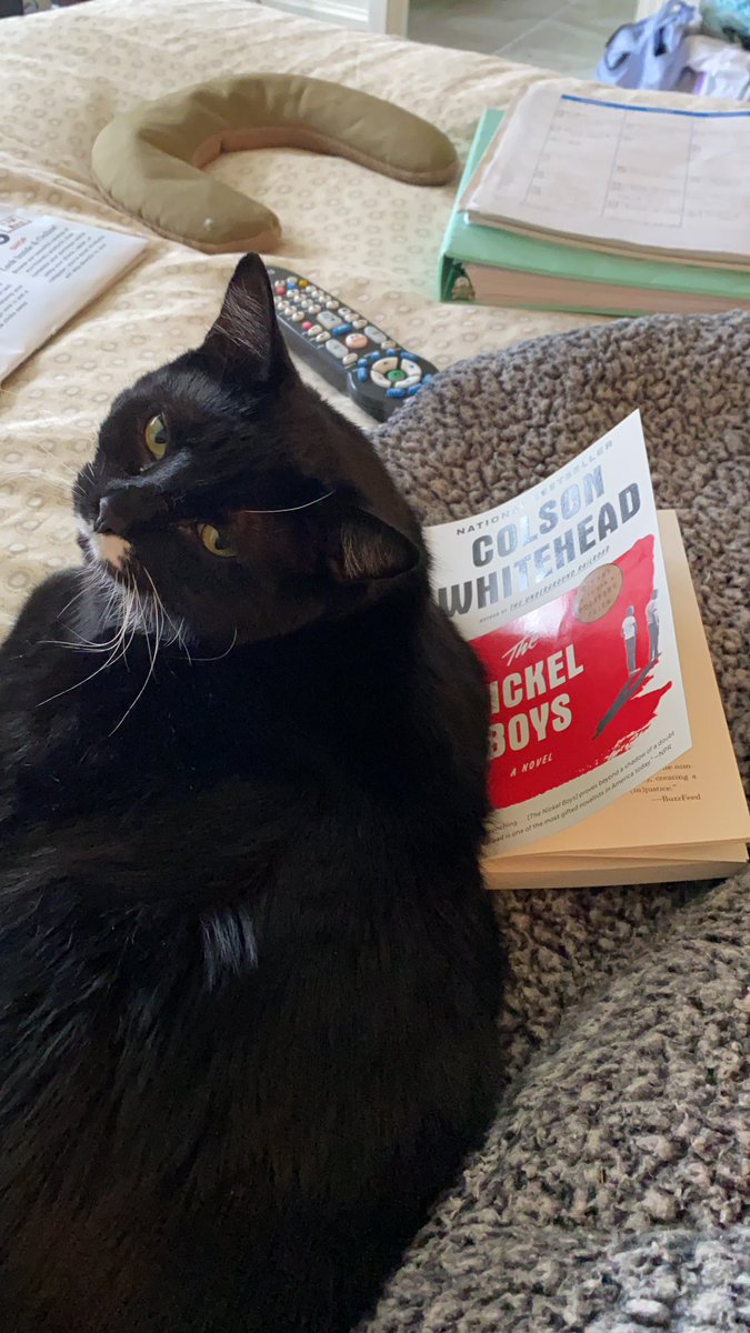 rebekah wilson tweet media