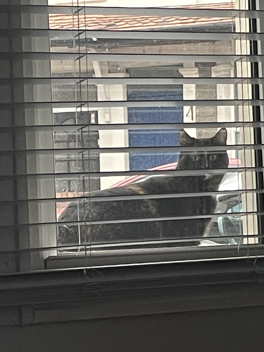 Hello, do you have a moment to talk about our lord and saviour? 😸