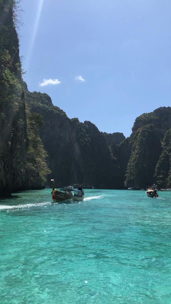 INTERIOR PORN tweet media