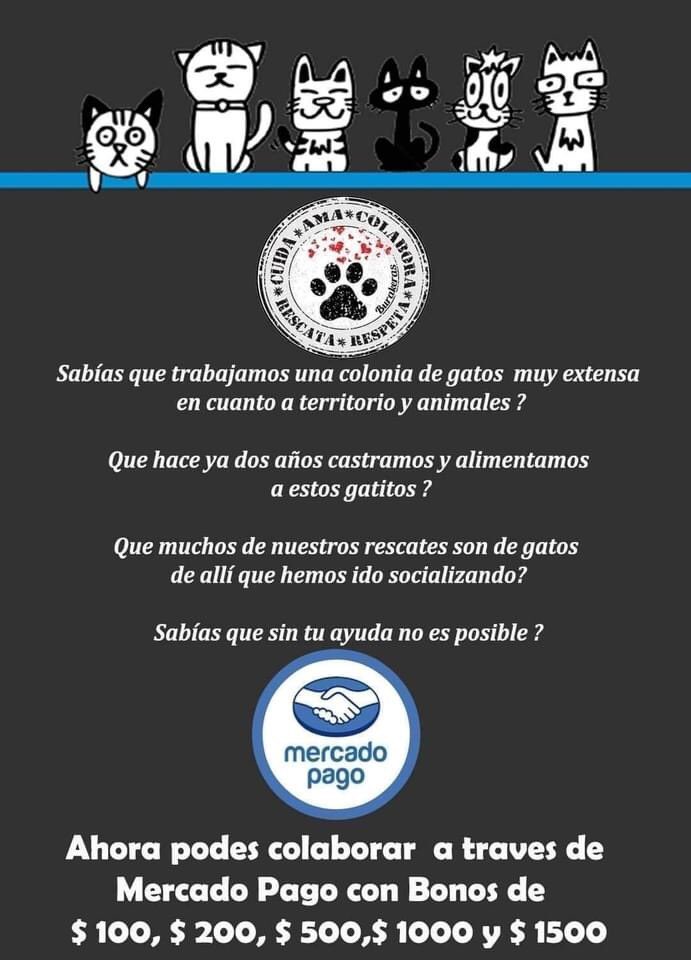 burakeras's tweet photo. Podes colaborar con la alimentación y castración de la Colonia de Parque Batlle a través de Mercado Pago, fácil, rápido, desde tu cel. y con tarjeta de crédito o debito. https://t.co/bA5u46tbWa