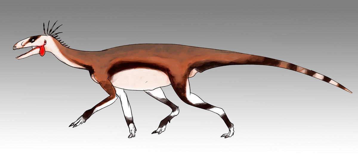 OfPrehistoric's tweet photo. Behind the scenes of production. Conceptual sketch of the Silesaurus :) https://t.co/oFoDepSKbP