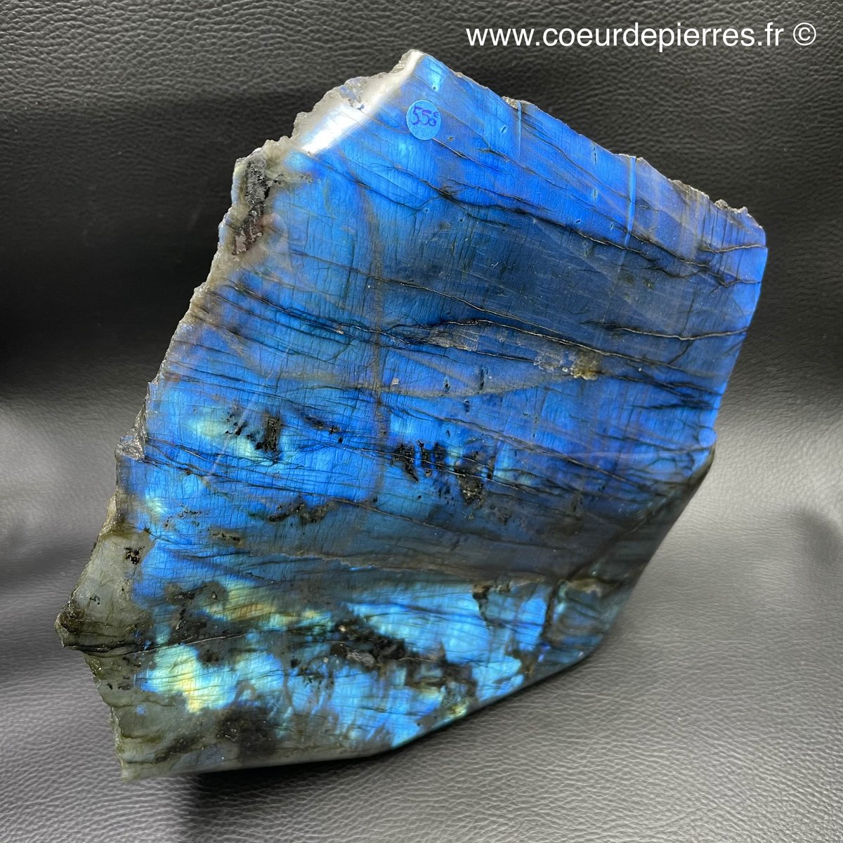 CoeurPierres's tweet photo. Labradorite de Madagascar.💙
De nombreuses pièces sont disponible sur https://t.co/jCzV6mtBVv 👈 #minerals #labradorite #collection #mineraux #lithotherapie #bleue #Madagascar https://t.co/7rP8c0SZho