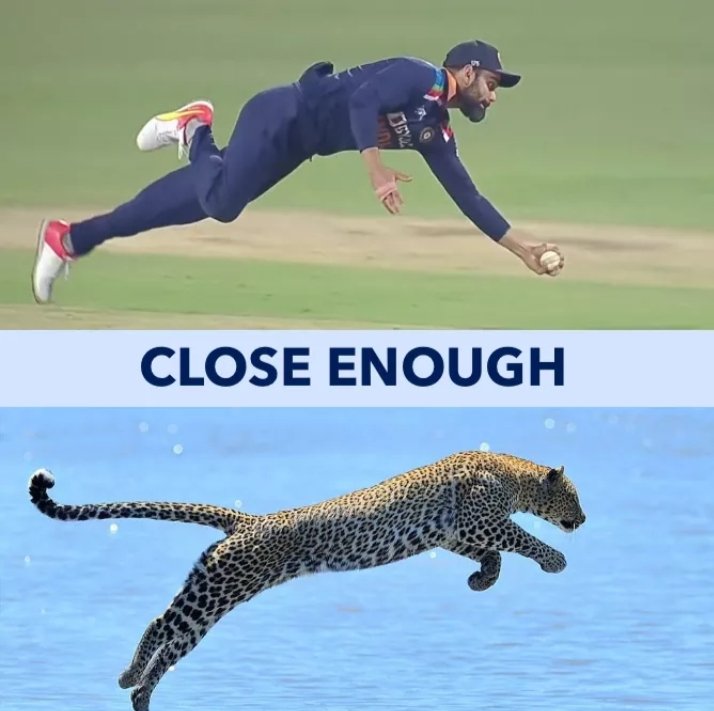 SweetMoni18's tweet photo. @imVkohli 😍😍😍❤️❤️ congratulations team india https://t.co/RMXTkMPpls