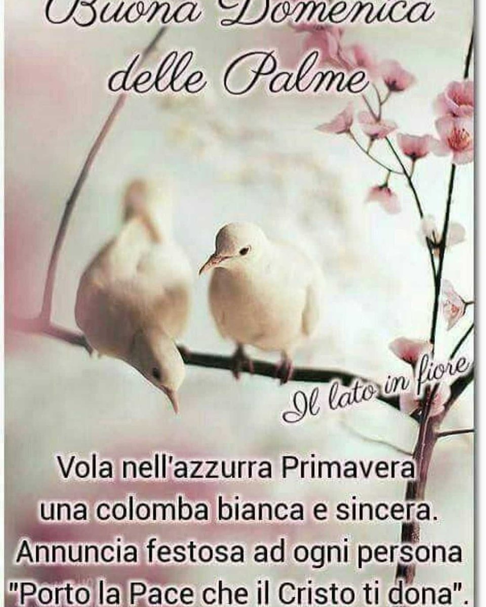 toni Antonio Guarro (@toniguarro) on Twitter photo 