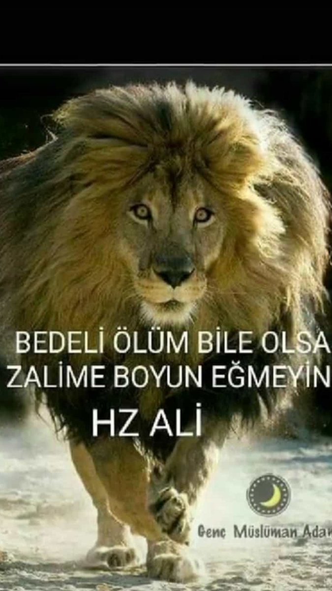 ByMusa3's tweet photo. #ÖrgütYokCezaVar https://t.co/Es7iG1gBcE