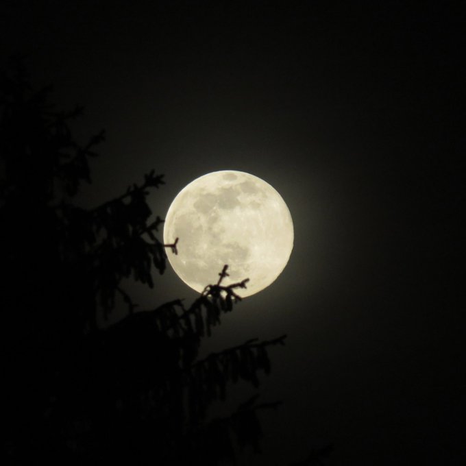 月が綺麗 高画質 のtwitterイラスト検索結果 古い順