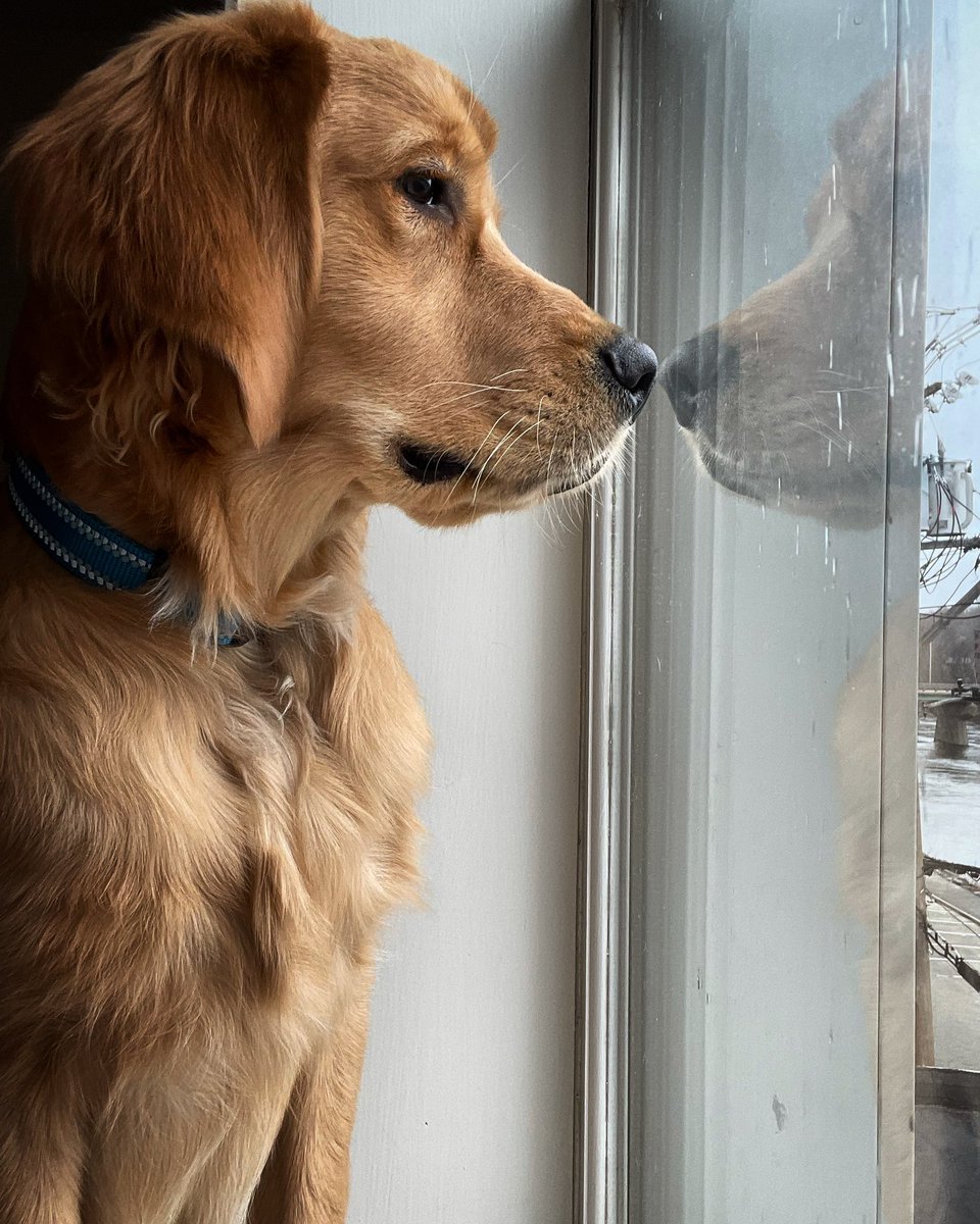 Gabriel64148955's tweet photo. @lululemon Bowden and I are deep in thought, day dreaming about new short colors..any update?! https://t.co/X1dsjTo8gX