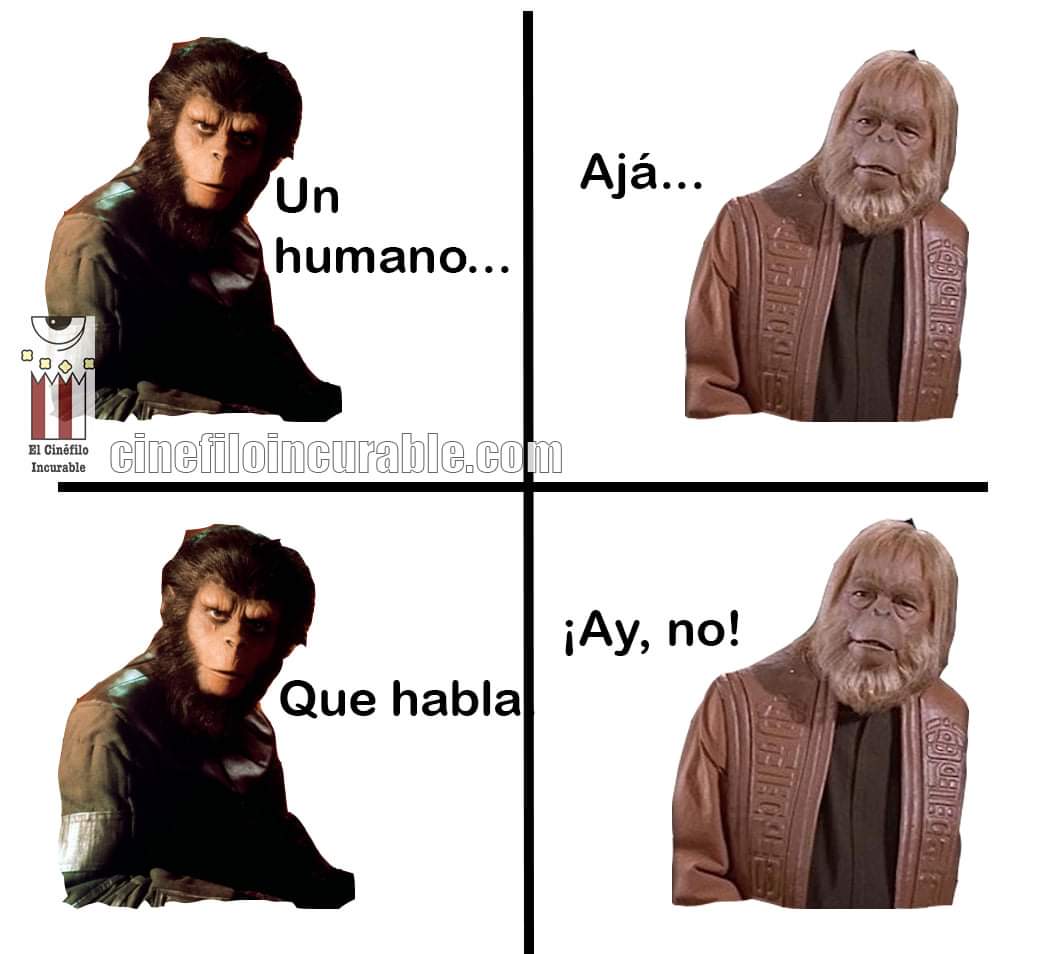 JosueCinefago's tweet photo. Mientras, en un mundo paralelo...

#Lupe #Joakin #Ayno https://t.co/zAJ8FY8F9N