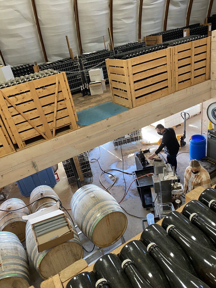 hinterlandwine's tweet photo. View from above. Les Etoiles 2013 #sparklingwine #farmtoflute #traditionalmethodsparkling #recentlydisgorged #princeedwardcountywines #princeedwardcountysparklingwine #disgorgementday https://t.co/zpL33Gw43V