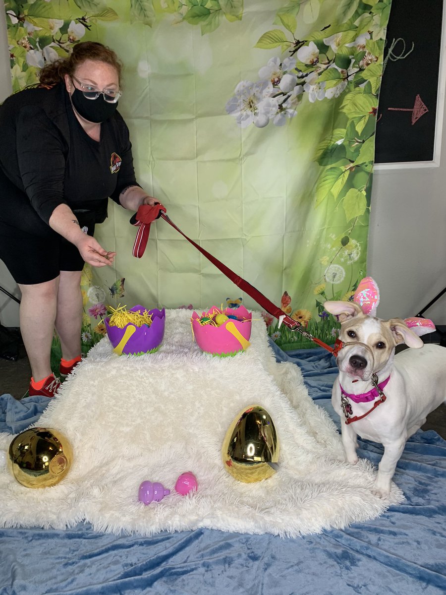 chubbystruggles's tweet photo. Everyone keeps saying, “I can’t wait to see the final posed photo!!”

Uh. This is it. This is the whole photo. https://t.co/EHPq5vFzDP